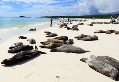 Los mejores paisajes de las islas Galápagos