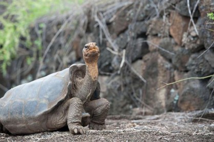 Los mejores paisajes de las islas Galápagos