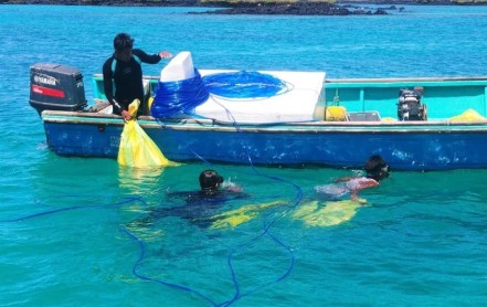 Extraen 2.239 kilos de basura del fondo de las Galápagos