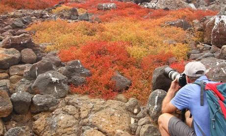 Los mejores paisajes de las islas Galápagos