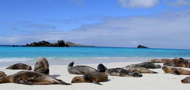 Galápagos recibe su primer vuelo comercial tras 4 meses