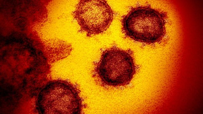 ¿Podremos curar la COVID-19 engañando al virus?