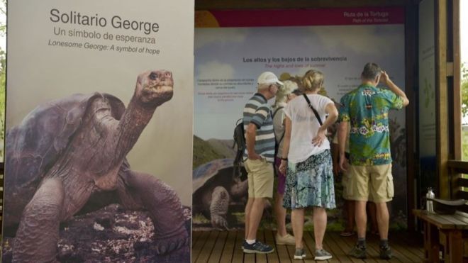 Coronavirus en Ecuador: el reto de detener el avance de la enfermedad en las islas Galápagos