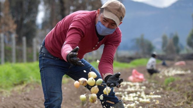 Coronavirus: 5 efectos devastadores que la pandemia tendrá en las economías de América Latina