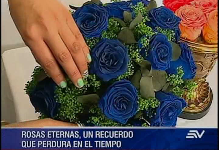 (VIDEO) Las flores ecuatorianas que perduran para siempre