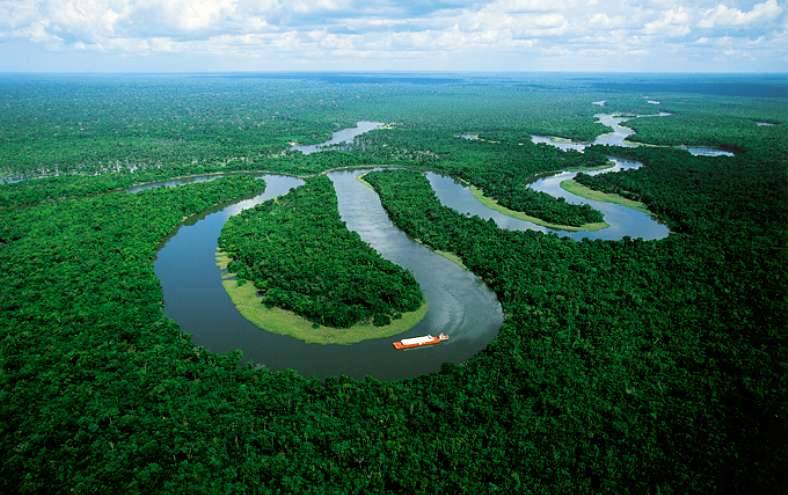 El Amazonas reduce a la mitad su capacidad para absorber dióxido de carbono