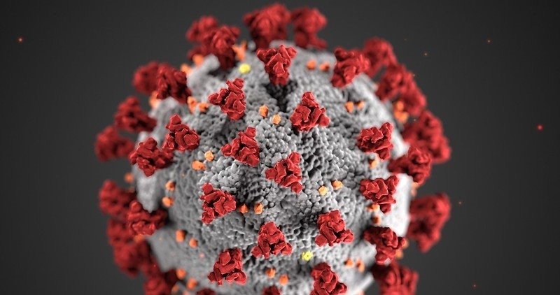 Identifican proteína clave para combatir COVID-19