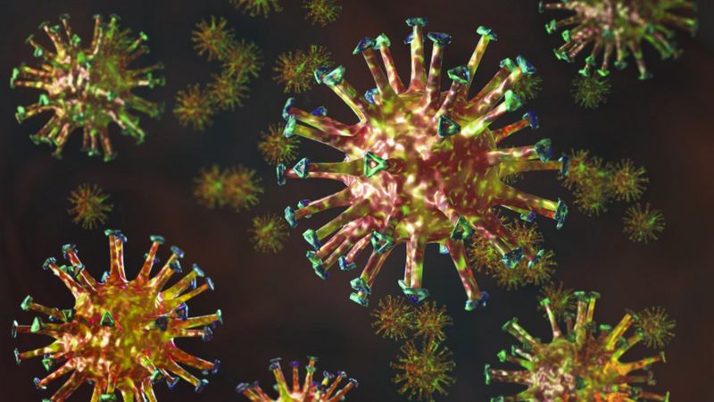 Coronavirus: ¿son los virus un desafío científico insuperable?