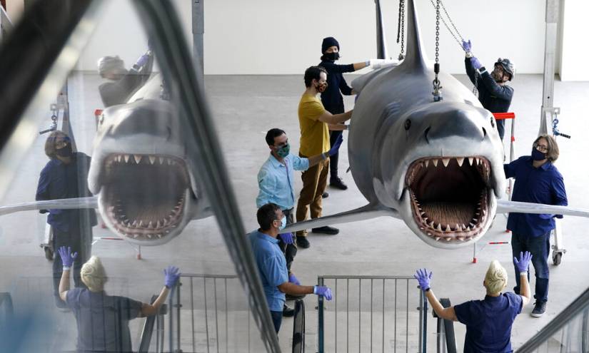 Increíble tiburón de fibra de vidrio hecho con el molde de “Jaws”