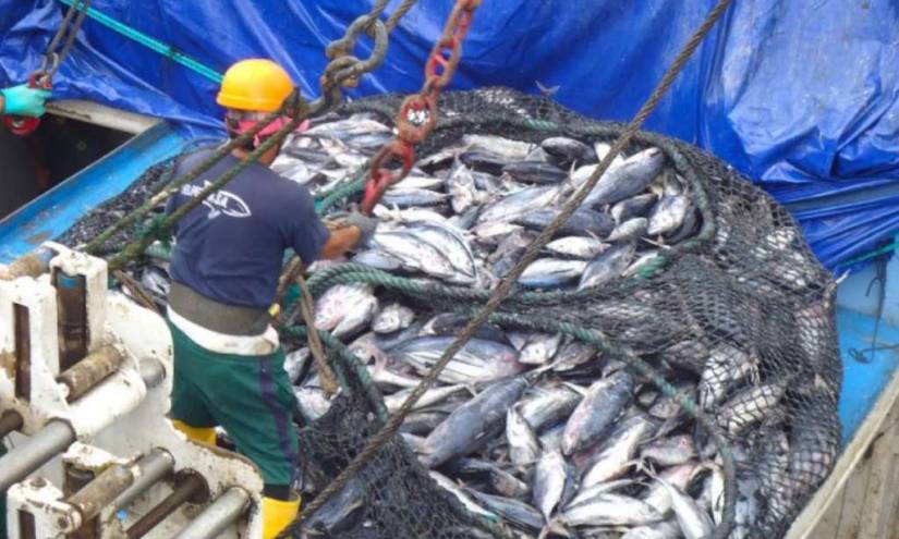 China vuelve a encontrar coronavirus en pescado de Ecuador