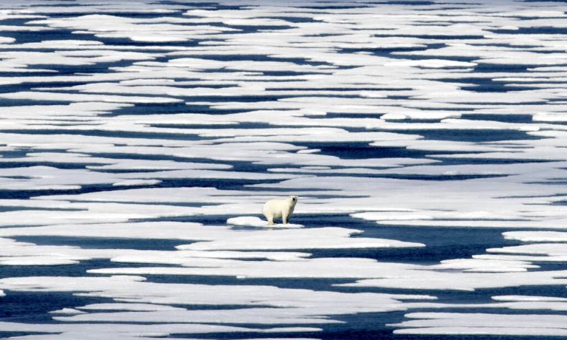 La pandemia no frena la crisis climática en 2020, uno de los años más cálidos
