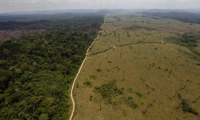 Aumenta un 20% la deforestación en la Amazonía de Brasil