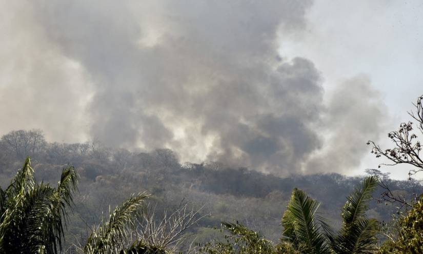 Evo Morales suspende campaña por incendios forestales