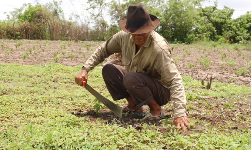 Campesinos de Ecuador exigen moratoria de deudas y bajada de tasas de interés