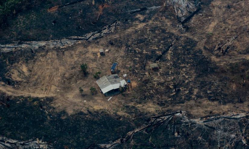 G7 ayudará a países afectados por incendios en Amazonía