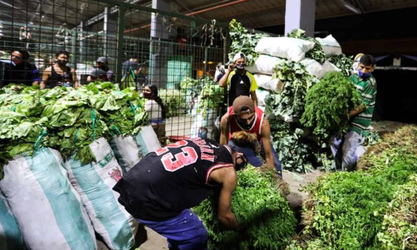 Nueve camiones con productos agrícolas llegan a Guayaquil