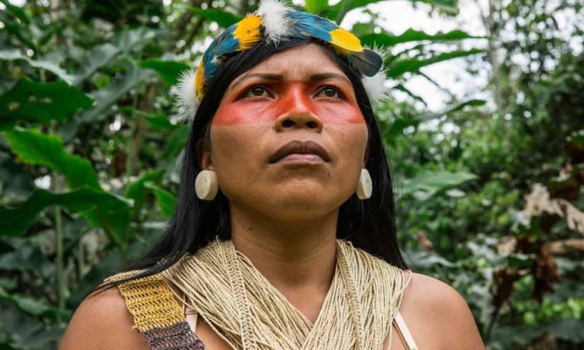 Nemonte Nenquimo, la guardiana de la selva ecuatoriana