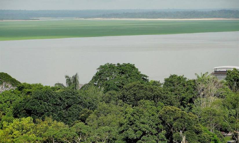 Francia financia proyecto para proteger millones de hectáreas en la Amazonía