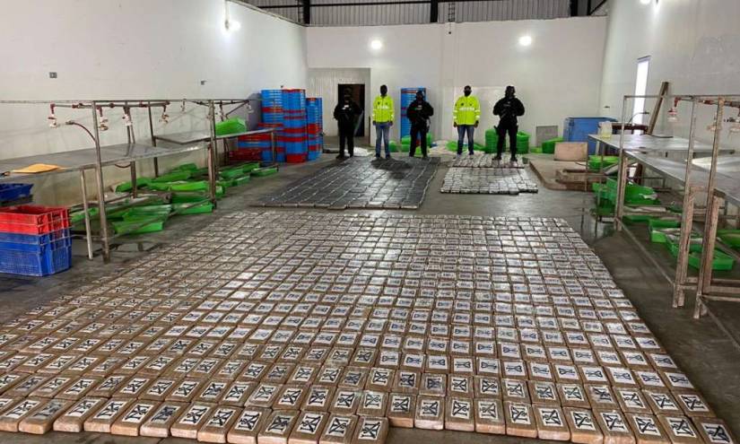 Decomisan 2 toneladas de droga durante operativos en provincias