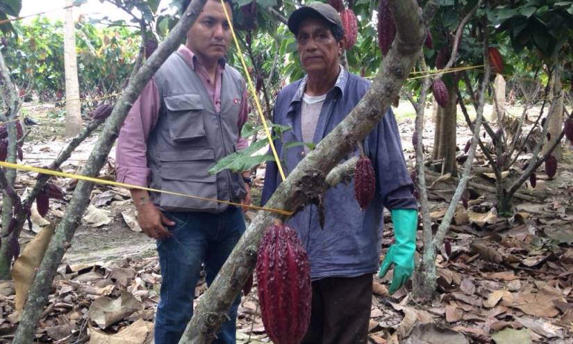 Ecuador Sobre Ruedas: Conozca al &#039;Señor del Gran Cacao&#039;