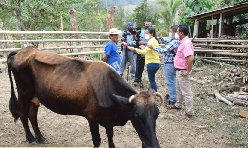 Catorce cantones de Manabí sufren falta de agua