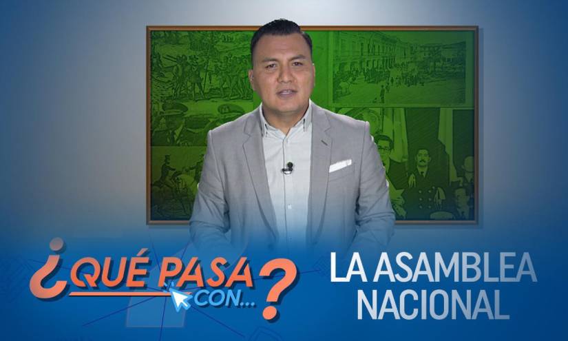 ¿Cómo ha cambiado la función legislativa en Ecuador?