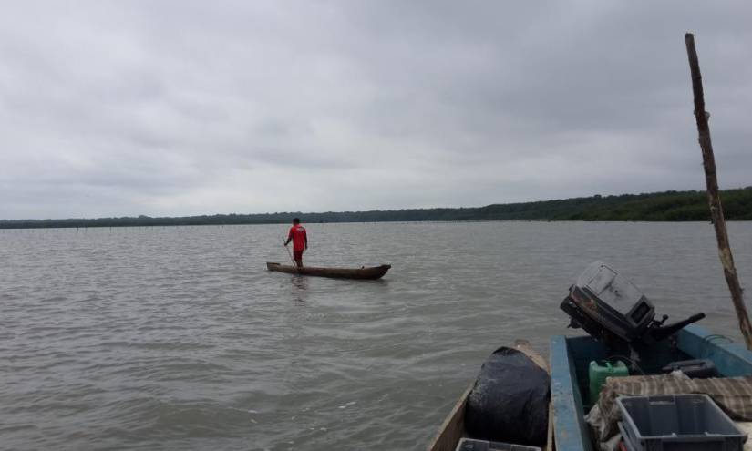 La ancestral labor de los pescadores del estuario del río Guayas