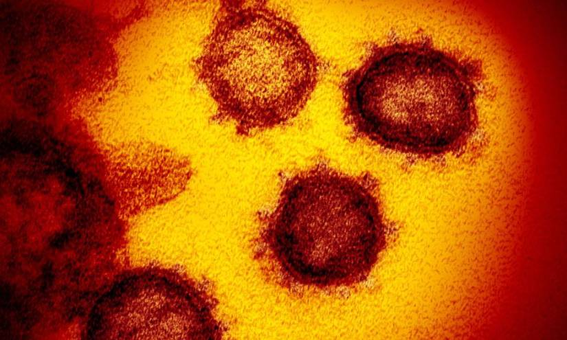 Universidad San Francisco de Quito concluye secuencia de genoma de cepa de coronavirus