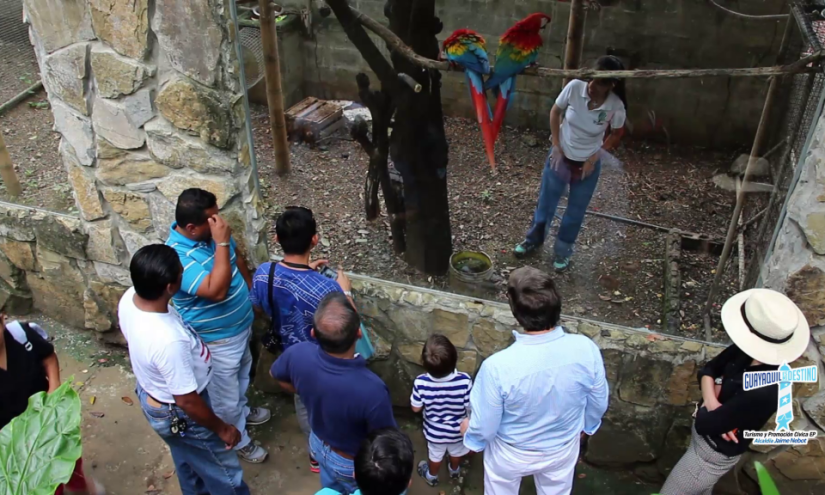 Descubriendo el Jardín Botánico de Guayaquil y la orquídea emblemática