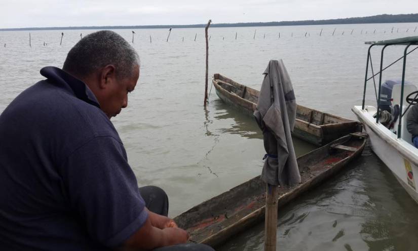 La ancestral labor de los pescadores del estuario del río Guayas