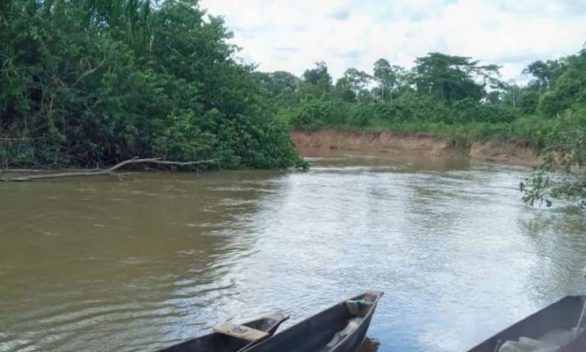 Saparas protestarán si siguen extrayendo madera de balsa de sus territorios